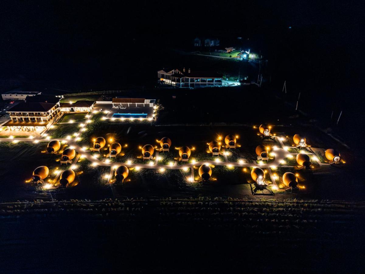 Hotel Qvevrebi Telavi Esterno foto